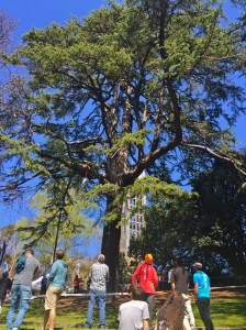 Watching the National Climbing Championship and enjoying the sun.